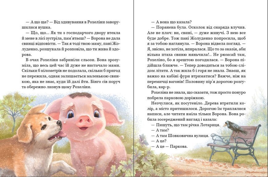 Рохеліна Жолуденко та Бінго. Моя перша бібліотека 10311032475 фото