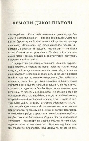 Бурштин 1031164874 фото
