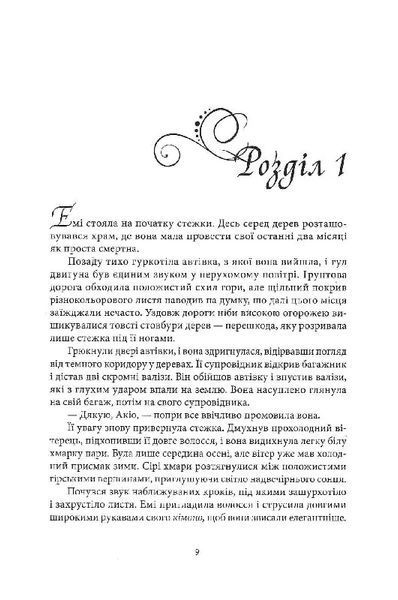Червона зима 10311017420 фото