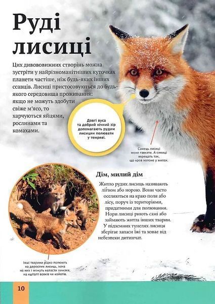 Дитяча енциклопедія хижаків 10311018642 фото