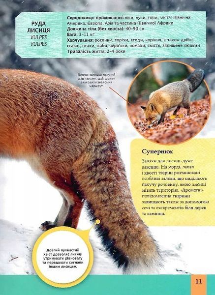 Дитяча енциклопедія хижаків 10311018642 фото