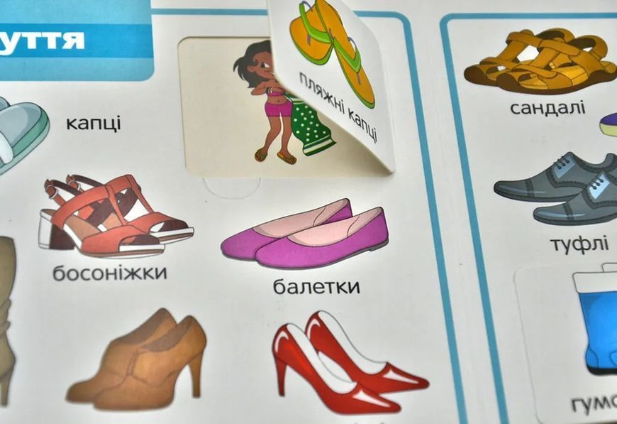 Світ навколо. Мої перші слова (33 віконця) 10311007427 фото