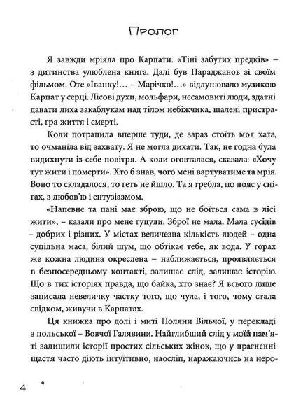 Поляна Вільча 10311018217 фото