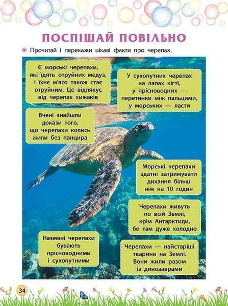 Секрети знань. Зустрічай 2 клас. За новою програмою 10311024152 фото