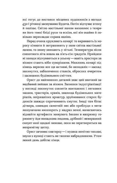 Сіра пейна 10311023337 фото