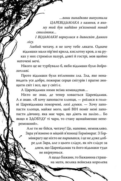 Були собі чаклуни. Чари другі 10311034359 фото