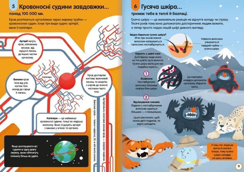 100 фактів про людське тіло 10311014289 фото