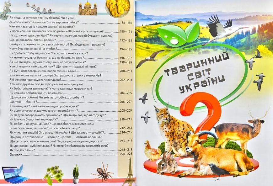 Дивовижна енциклопедія про тварин у запитаннях і відповідях 1031171775 фото