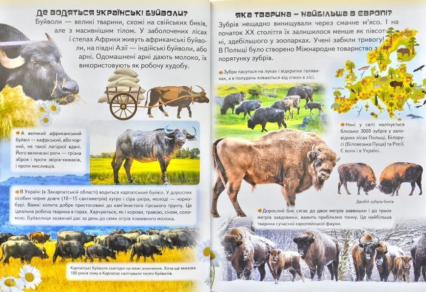 Дивовижна енциклопедія про тварин у запитаннях і відповідях 1031171775 фото