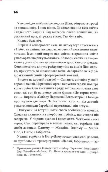 Шокова індукція 10311033961 фото