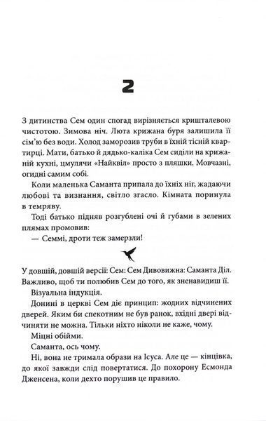 Шокова індукція 10311033961 фото