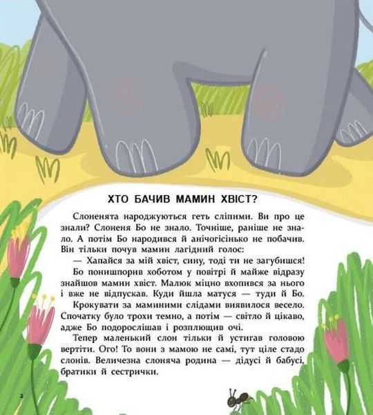 Хто бачив мамин хвіст? 10311034538 фото