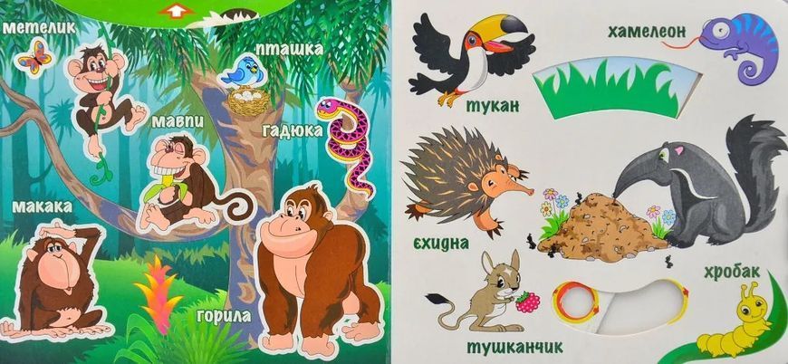 Джунглі. Рухомі картинки 10311013495 фото