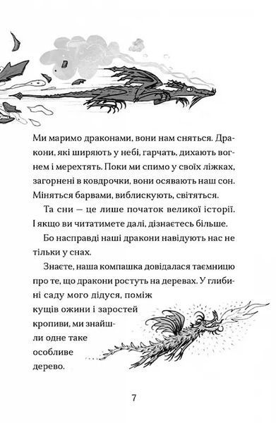 Хлопчик, який марив драконами 10311021332 фото