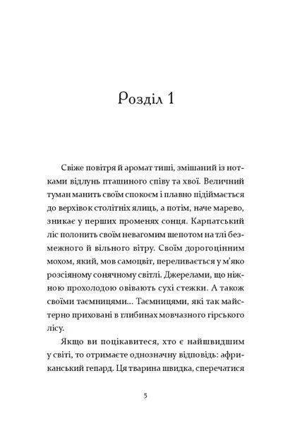 Біжи, доки світить сонце 10311018358 фото
