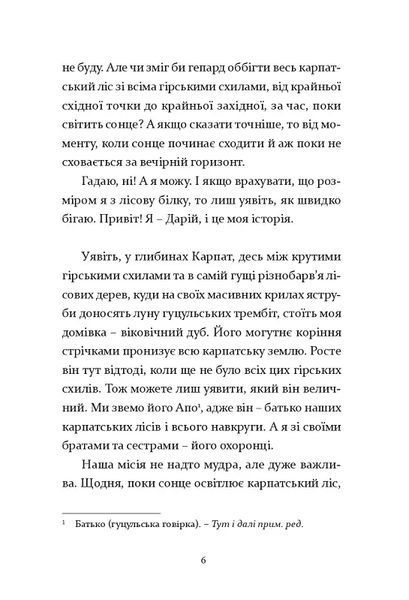 Біжи, доки світить сонце 10311018358 фото