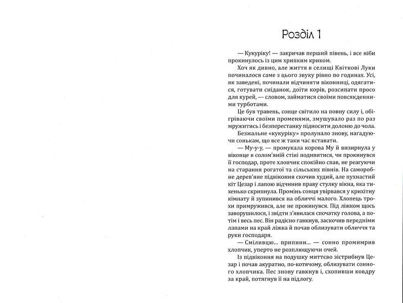 Елайджі у світі ельфів, або Алекса мій Ельф 10311022825 фото