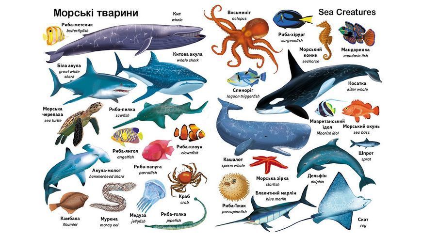 Перші слова. Тварини + англійська 10311026935 фото