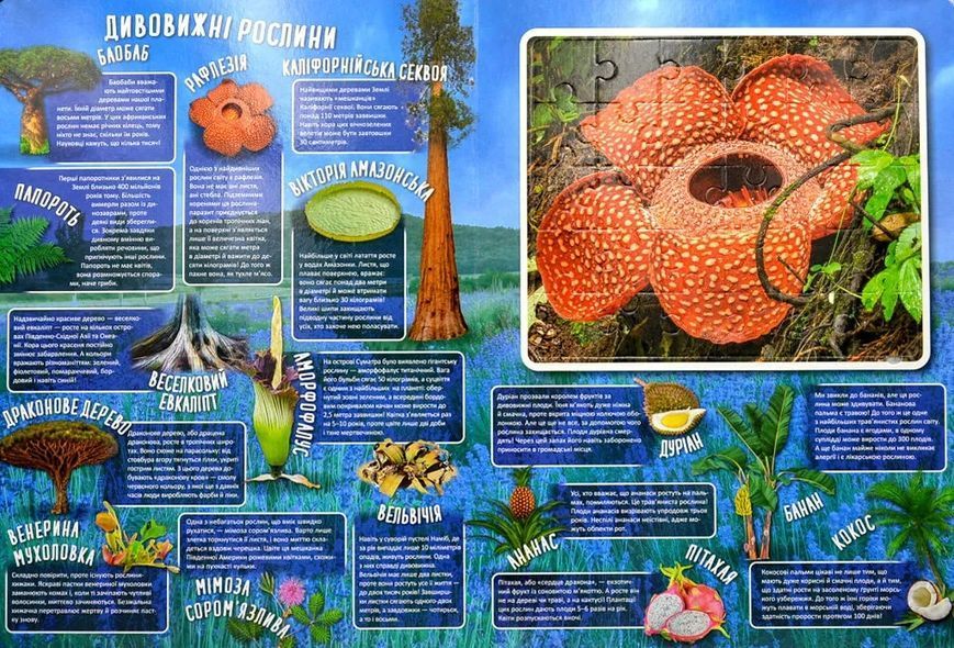 Дивовижний світ 10311014105 фото