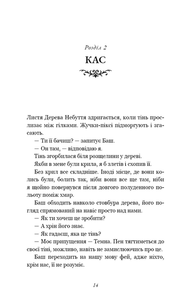 Розпусні загублені хлопці. Книга 2. Темний 10311029413 фото