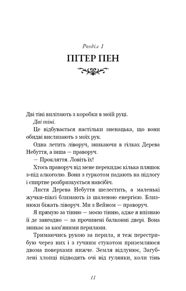 Розпусні загублені хлопці. Книга 2. Темний 10311029413 фото
