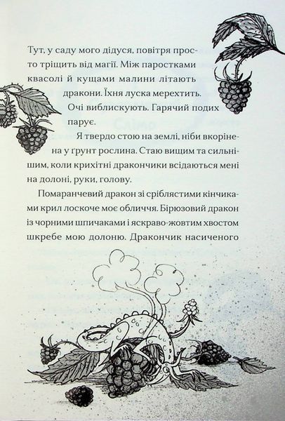 Хлопчик, який співав з драконами. Книга 5 10311024664 фото