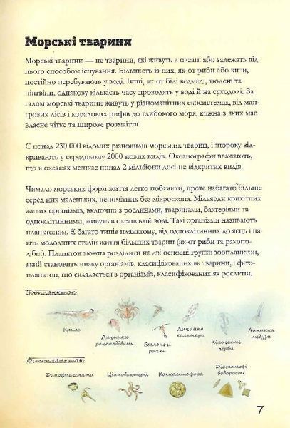 Морські тварини світу 10311023951 фото