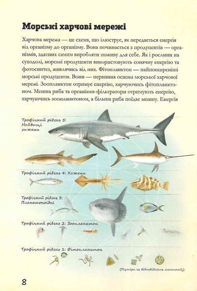 Морські тварини світу 10311023951 фото
