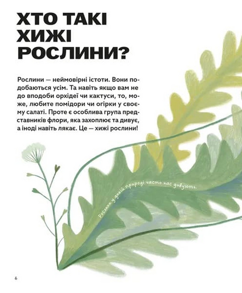 Хто такі хижі рослини? 10311033911 фото
