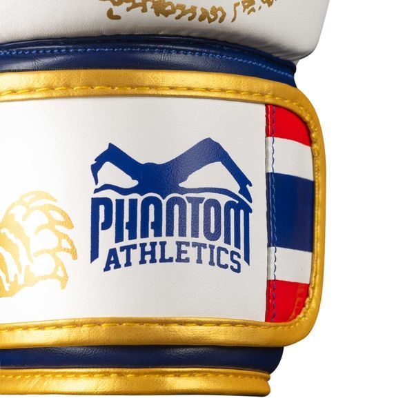 Боксерські рукавиці Phantom Muay Thai Gold Limited Edition 12 унцій (бинти в подарунок) PHBG2590-12 фото
