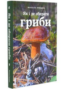 Як і де збирати гриби 10311034686 фото