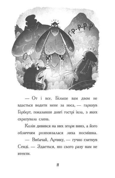Тото. Кішка - ніндзя і легенда про дикого кота. Книга 5 10311019441 фото