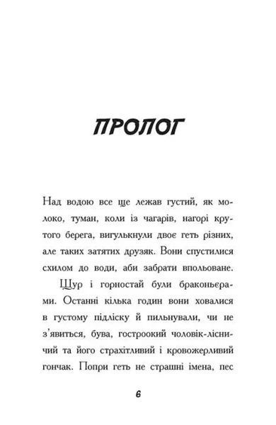 Тото. Кішка - ніндзя і легенда про дикого кота. Книга 5 10311019441 фото