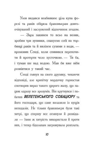 Тото. Кішка - ніндзя і легенда про дикого кота. Книга 5 10311019441 фото