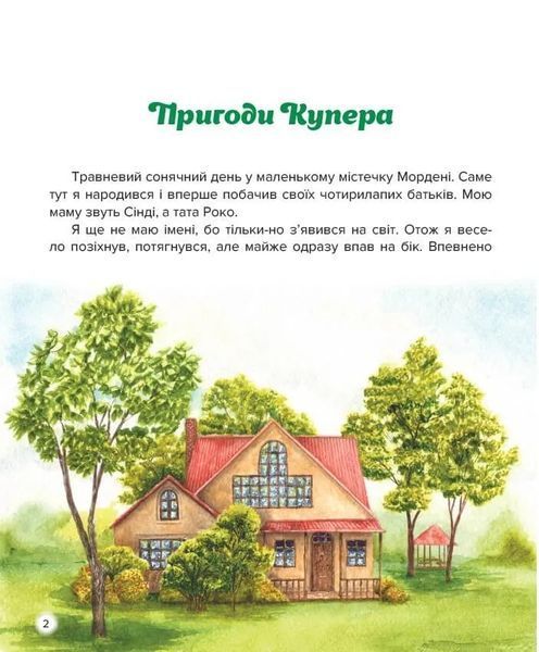 Пригоди Купера 10311013989 фото
