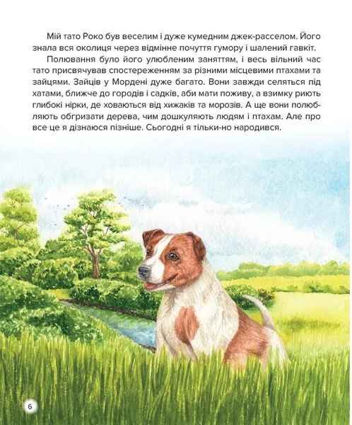 Пригоди Купера 10311013989 фото