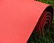 Килимок для йоги та фітнесу Power System PS-4060 TPE Yoga Mat Premium Red (183х61х0.6) 4060RD-0 фото 8