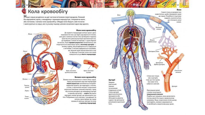 Ілюстрована енциклопедія. 1000 цікавих фактів 10311029267 фото