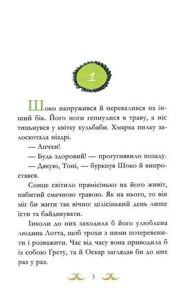 У хвіст і в гриву. Вівсяна банда. Книга 2 1031159295 фото