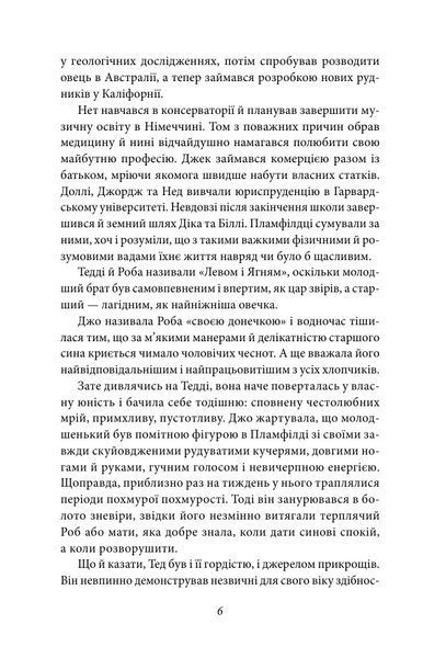 Хлопчики Джо 10311032327 фото