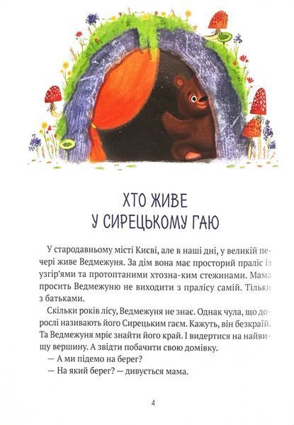 Ведмежуня мандрує в Карпати 10311024600 фото