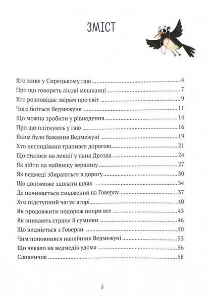 Ведмежуня мандрує в Карпати 10311024600 фото