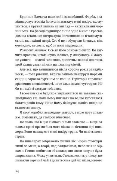 Незнайомець нагорі 10311030103 фото