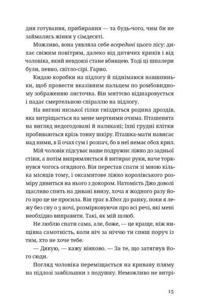 Незнайомець нагорі 10311030103 фото
