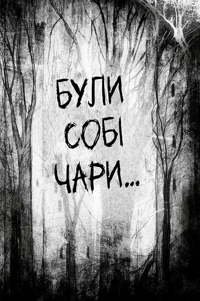 Були собі чаклуни. Чари перші. Книга 1 10311033733 фото