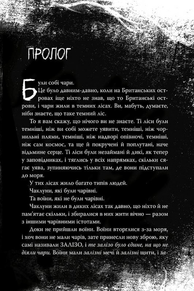 Були собі чаклуни. Чари перші. Книга 1 10311033733 фото