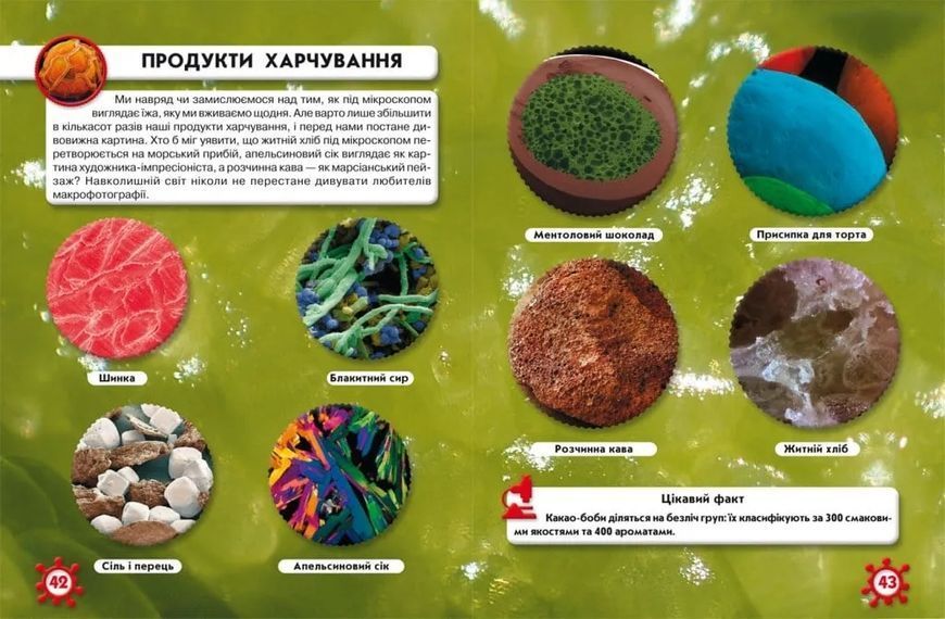 Мікросвіт. Світ навколо нас 1031165856 фото
