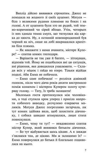 Пригоди Містера Кроса. Неймовірна подорож собаки-мандрівника 10311025132 фото