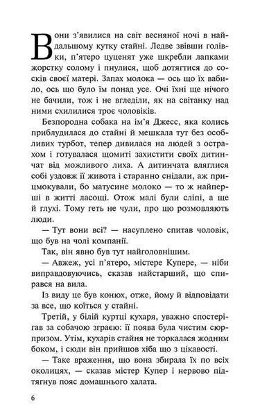 Пригоди Містера Кроса. Неймовірна подорож собаки-мандрівника 10311025132 фото