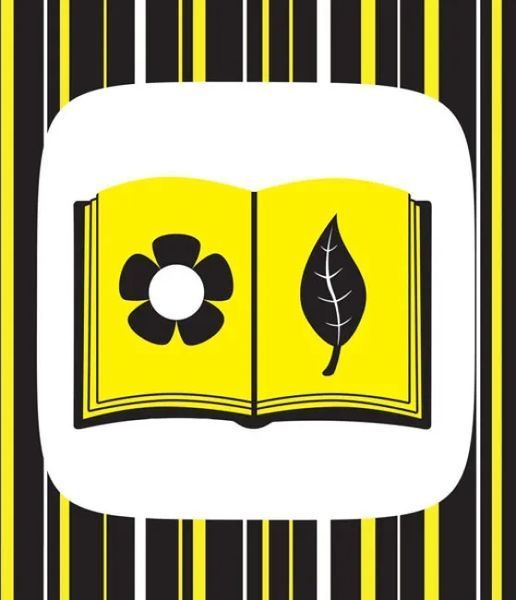 Контрастна книжка для немовляти: Ку-ку-сі 10311017031 фото